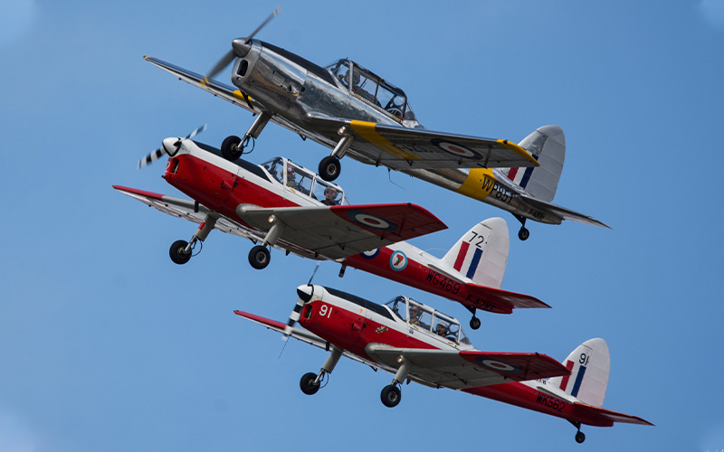 Chippy-Wing