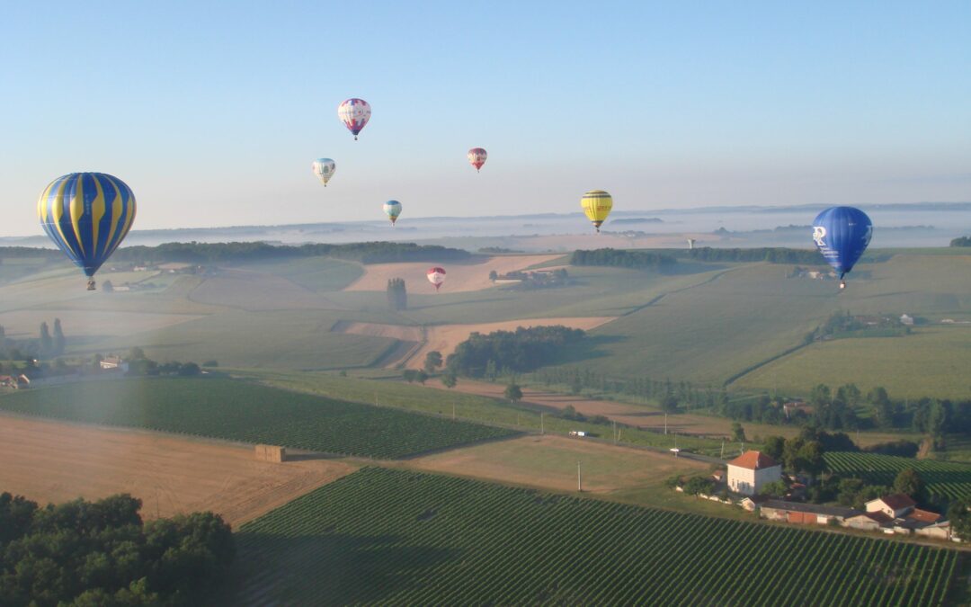 Bonjour tout le monde !